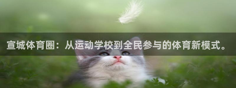 鲸鱼体育不安全：宣城体育圈：从运动学校到全民参与的体育新模式。