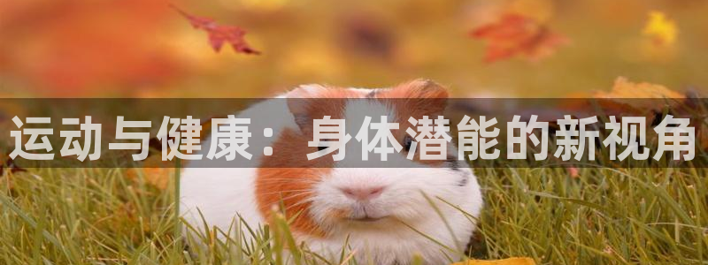 鲸鱼体育篮球直播：运动与健康：身体潜能的新视角