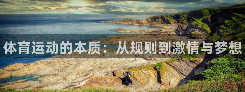 鲸鱼体育手机版软件亮点：体育运动的本质：从规则到激情与梦想