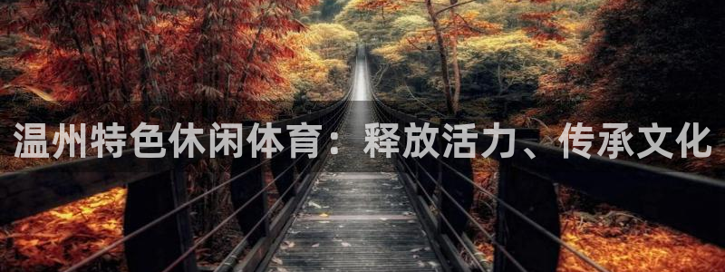 鲸鱼体育无插件：温州特色休闲体育：释放活力、传承文化