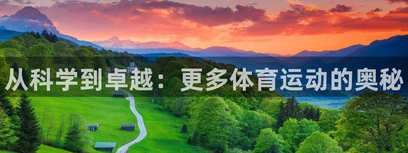 鲸鱼体育赛事直播：从科学到卓越：更多体育运动的奥秘